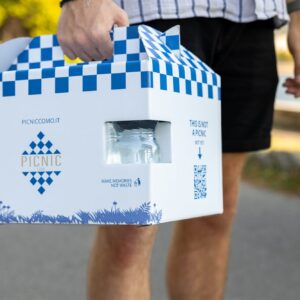 Cestino picnic Picnic Como tenuto per la maniglia, pronto da trasportare